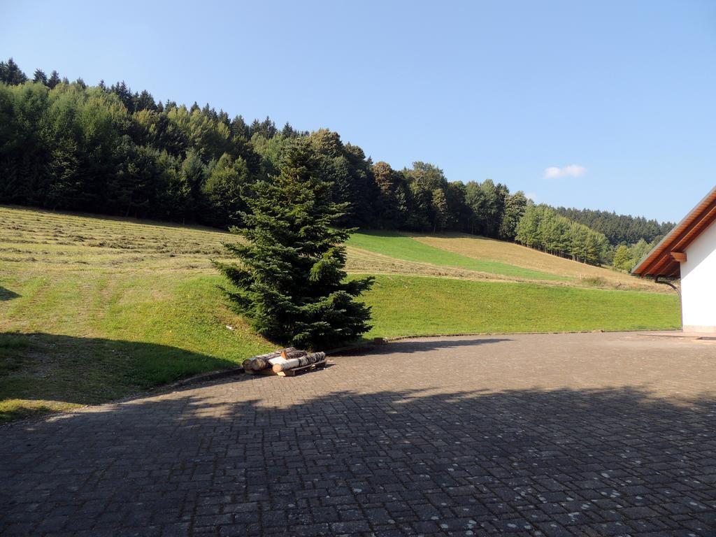 Gaestehaus Am Hirtenberg Breitenbrunn/Erzgeb. Extérieur photo
